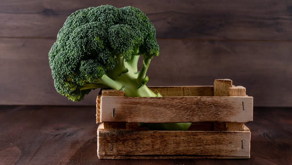 Brokkoli - eine Wunderwaffe der Natur